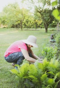 Good gardeners and good managers share a number of common traits, characteristics and perspectives (Photo courtesy of Dominika Roseclay and Pexels)